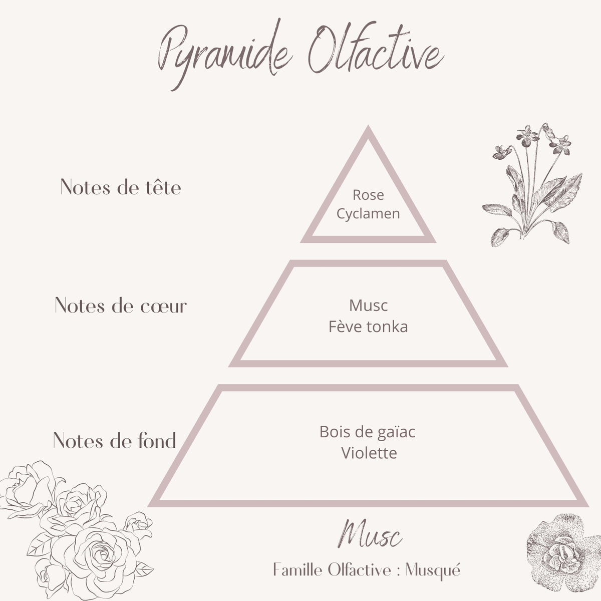 Fondants Parfumés Musc